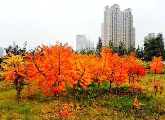 微信图片_20171025090730.jpg